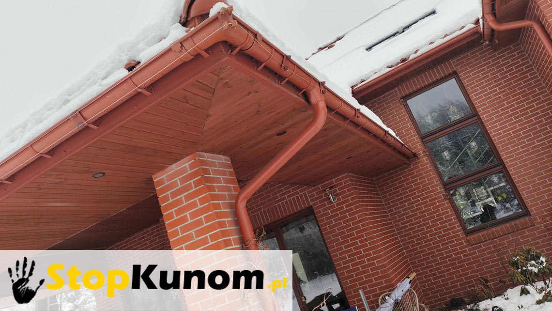 Elektryczny pastuch na kuny – skuteczna ochrona domu i profesjonalny montaż pastucha elektrycznego na kuny